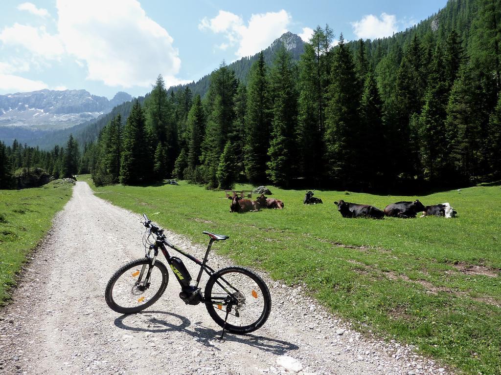 Appartamenti Majon Sotroi Campitello di Fassa Exterior foto